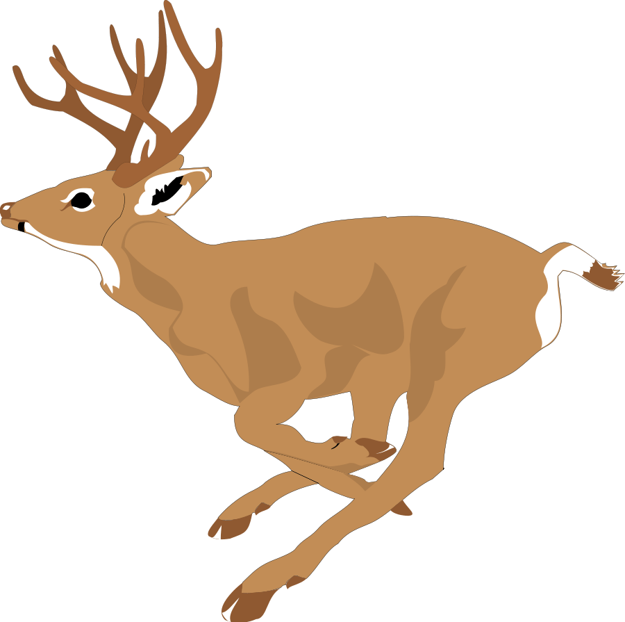 Deer 4 Free Vector - Running Deer Clip Art (800x796), Png Download