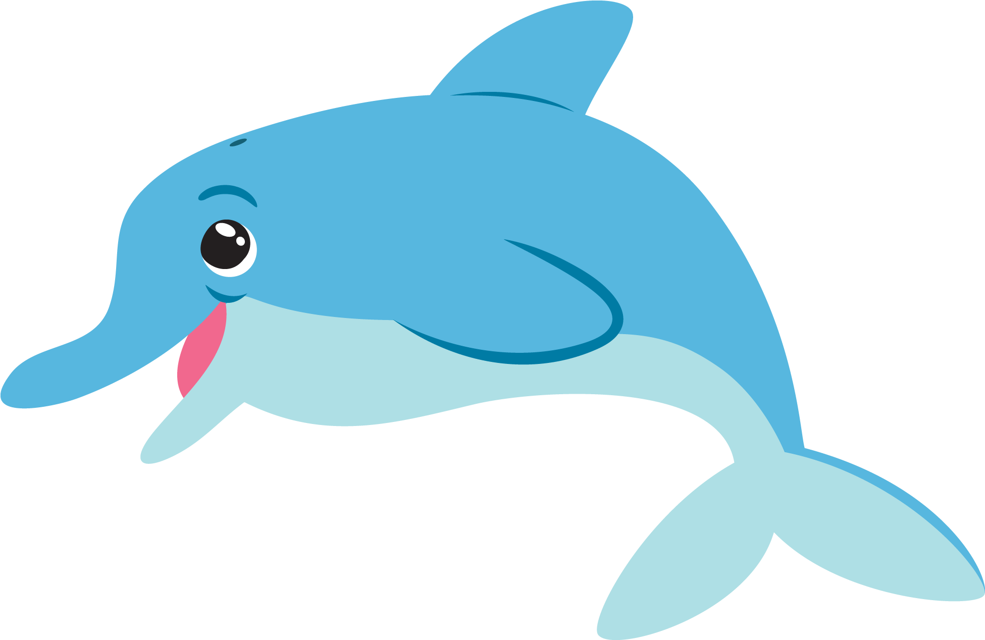 Dolphin - Dolphin Clipart Png (2025x1350), Png Download