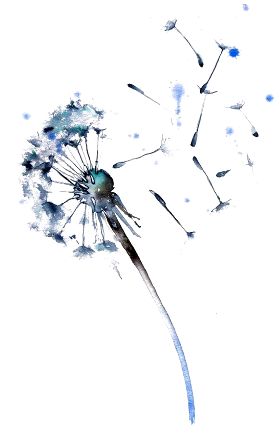 Watercolor Painting Dandelion Drawing Paper - Dandelion Watercolor (564x836), Png Download