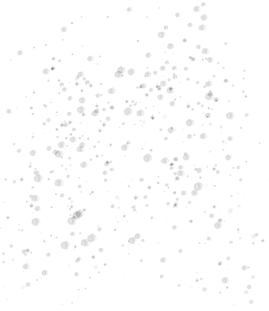 Misc Bubbles Element Png By Dbszabo1 - Bubbles Png (900x1042), Png Download