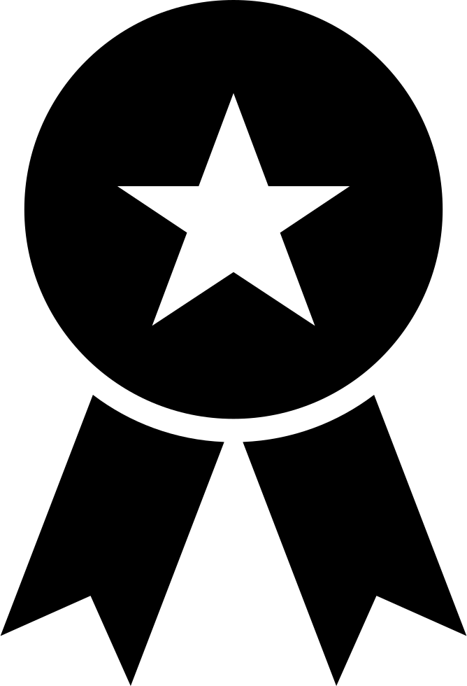Award Comments - Award Icon Png Free (668x980), Png Download