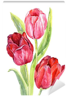 Tulipanes En Acuarela Png (400x400), Png Download
