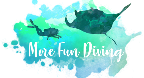 Morefundiving-540x272 - Great Blue Hole (540x272), Png Download