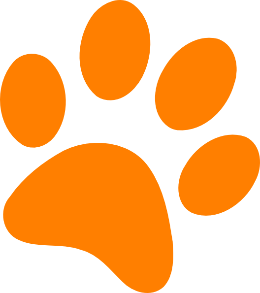 Orange Cat Paw - Orange Paw Print Clip Art (528x595), Png Download