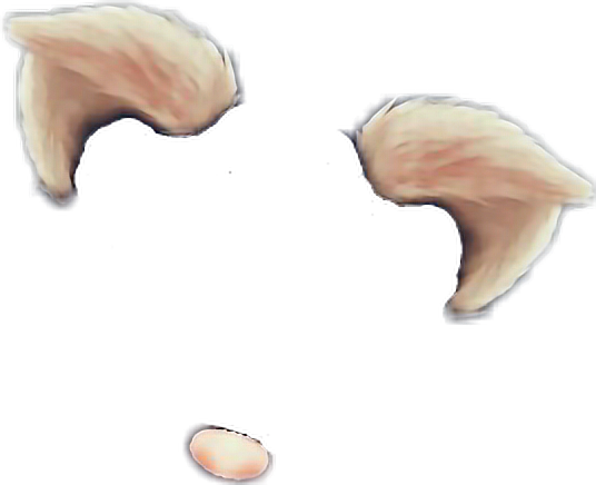 Snapchat Cat Filter Catfilter - Snapchat Filter Cat Ears (536x436), Png Download