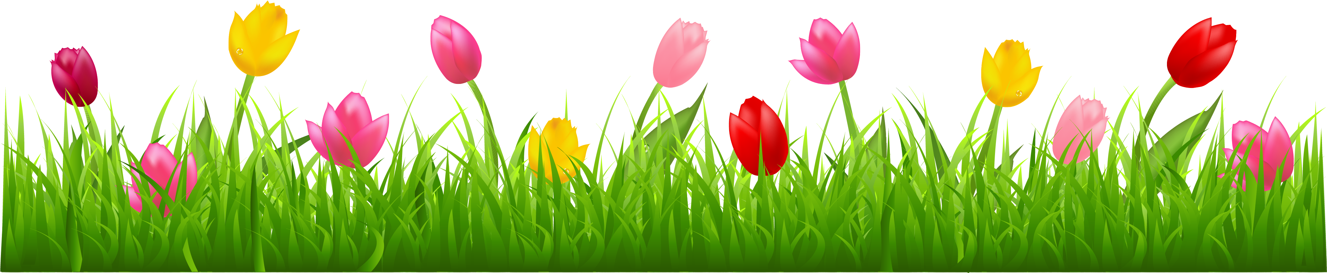 Grass Png Clip Art Imageu200b - Tulips Clip Art (4268x960), Png Download