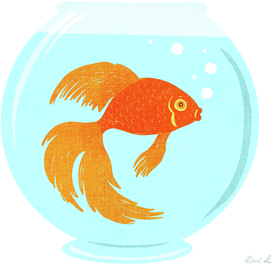 Bleed Area May Not Be Visible - Canvas Print (600x600), Png Download