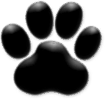 Pawprint - Capa Para Stories Do Instagram (500x500), Png Download