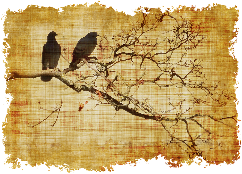Parchment Birds Branch Branches Old Statio - Mavera Mevsimler Kitap (481x340), Png Download