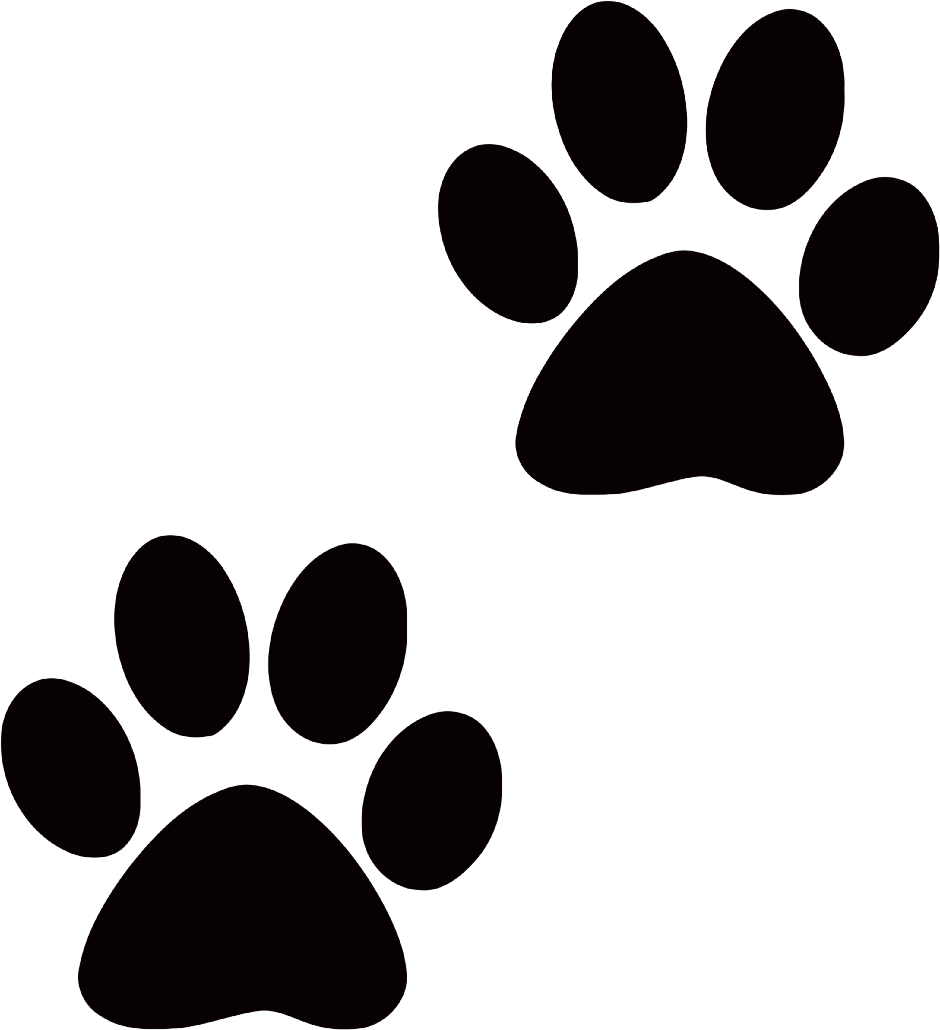 28 Collection Of Paw Print Clipart Transparent Background - Transparent Background Paw Png (3333x3541), Png Download