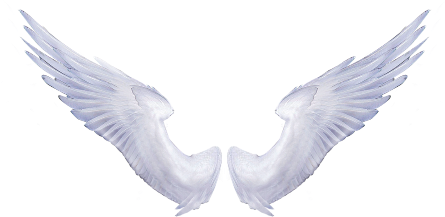 Angel Wings Png - White Angel Wings (900x600), Png Download