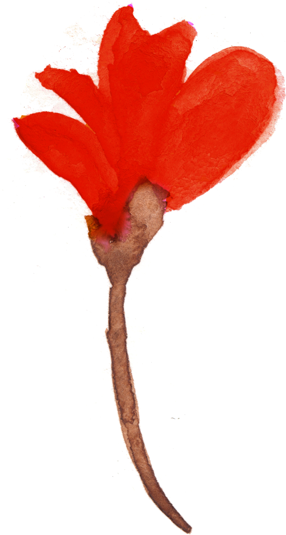 Free Watercolor Floral Elements- Pretty - Watercolor Painting (1046x1854), Png Download