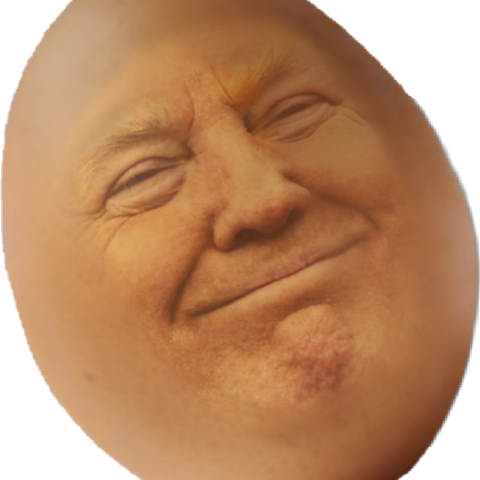 Donald Trump (480x480), Png Download