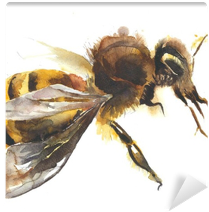 Honey Bee Watercolor Painting Hand Made Isolated On - Watercolor Painting (400x400), Png Download