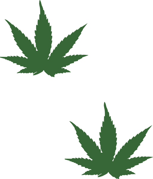 Download Cartoon Weed Leaf Png Png Black And White Stock - Small Weed Plant  Drawing PNG Image with No Background 