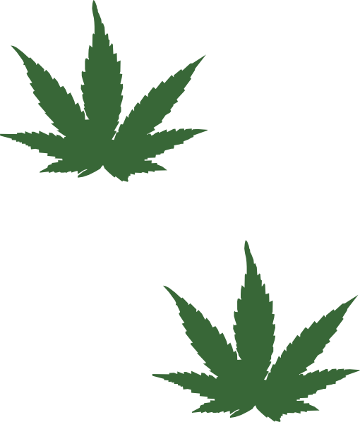 Cartoon Weed Leaf Png Png Black And White Stock - Small Weed Plant Drawing (510x598), Png Download