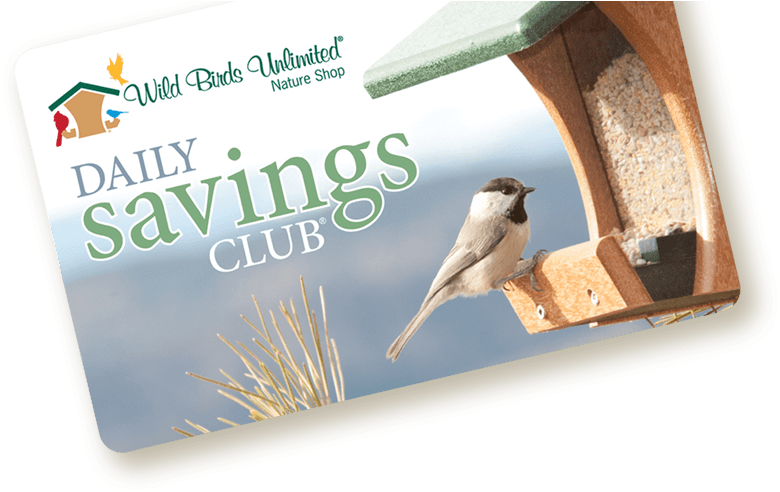 Daily Savings Club Card Graphic, Wild Birds Unlimited, - Wild Birds Unlimited (969x491), Png Download