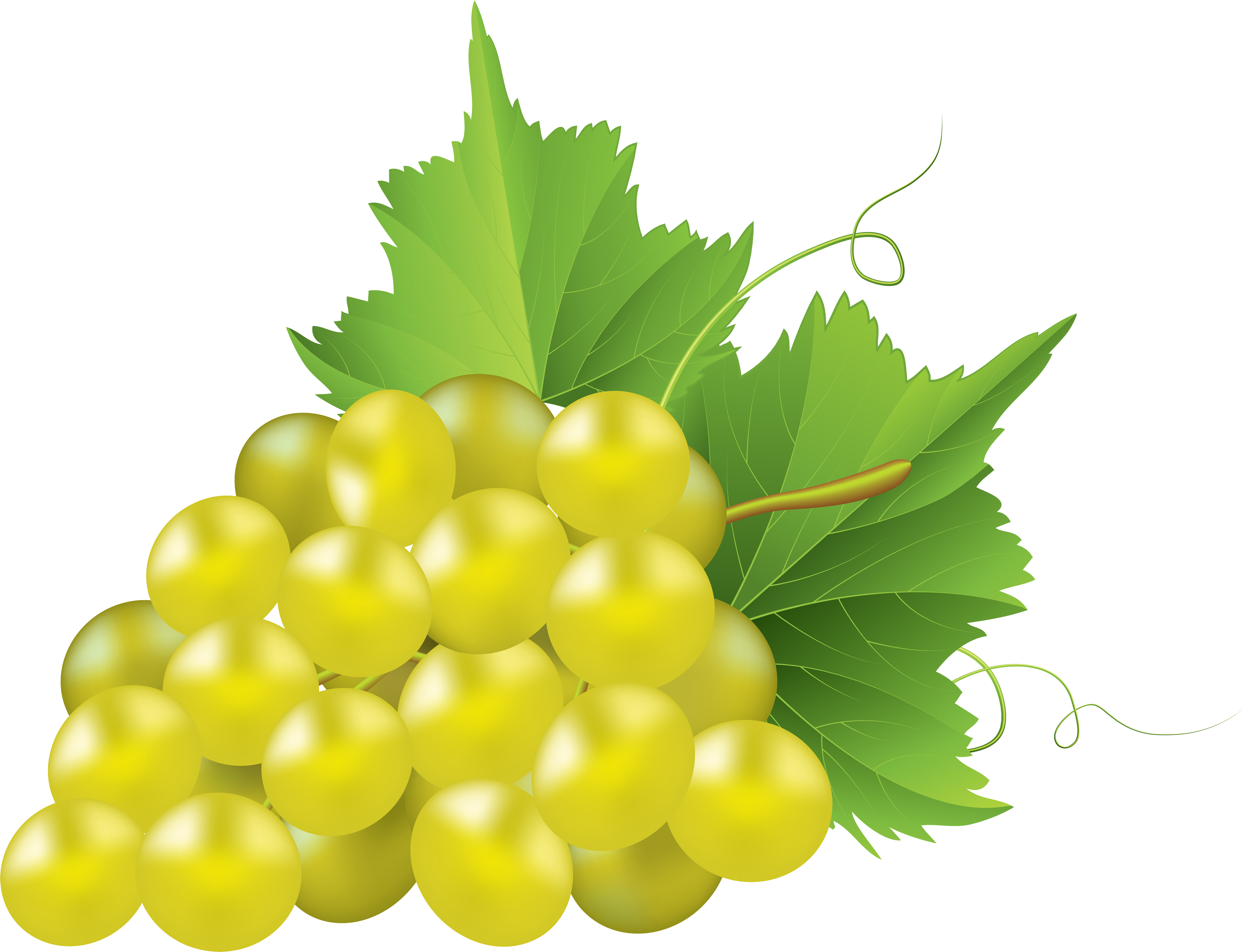 White Grape Transparent Png Clip Art Image - Chardonnay Uva Png (7000x5359), Png Download