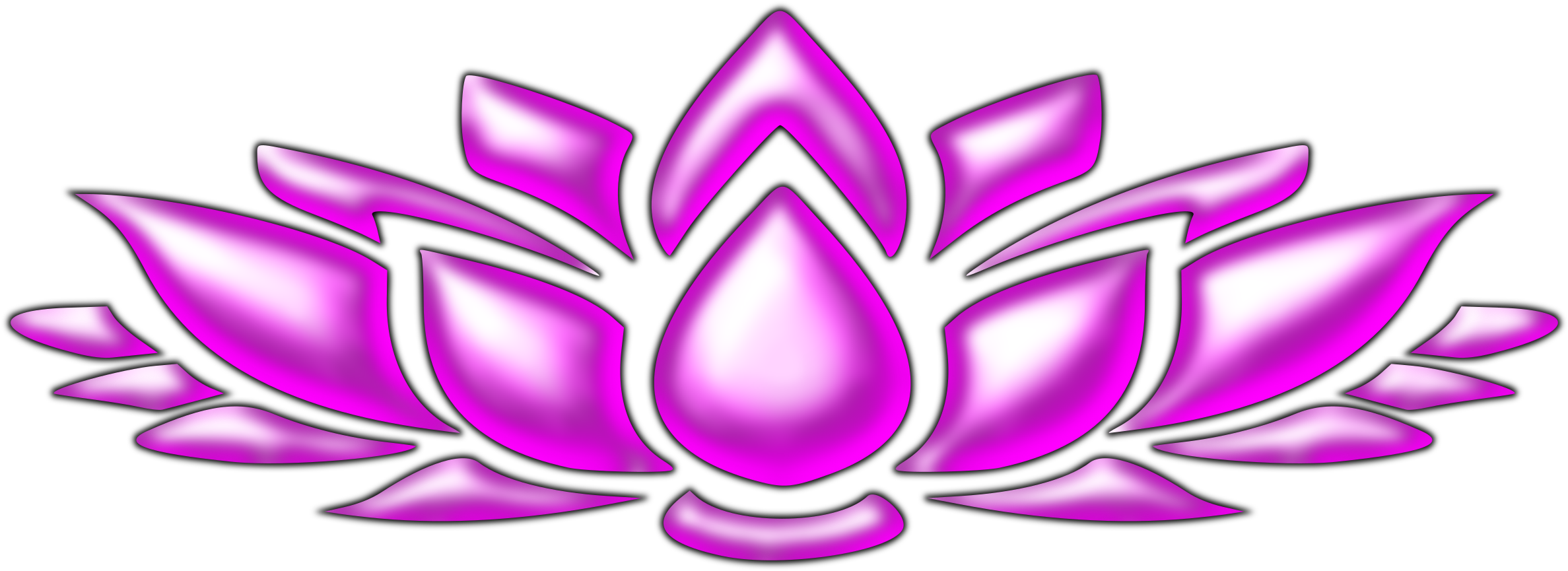 Lotus Flower 4 Icons Png - Portable Network Graphics (2400x891), Png Download