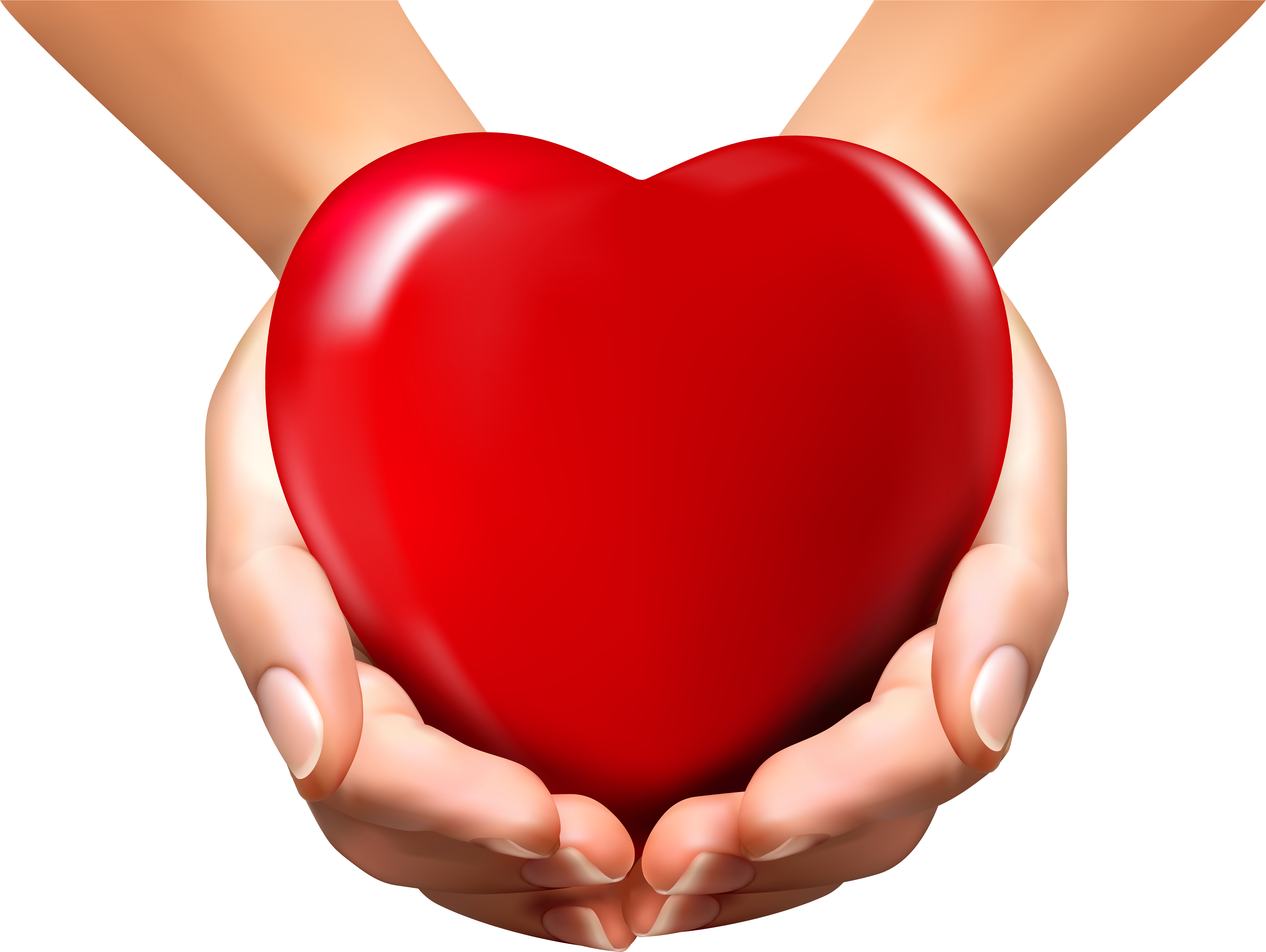 Svg Freeuse Download Hands Holding Heart Clipart - Heart In Hands Png (5799x4435), Png Download