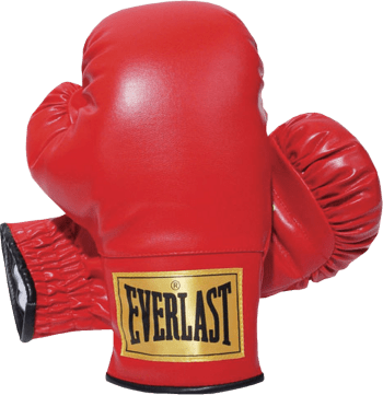 Everlast Boxing Gloves - Boxing Gloves Png Transparent (350x361), Png Download