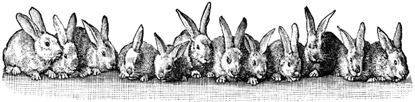 3 > Easter Bunnies In A Row Free Easter Clip Art - Vintage Bunny Clip Art (1600x395), Png Download