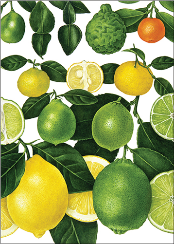 Lemons & Limes - Sweet Lemon (500x500), Png Download