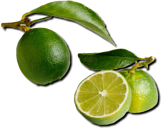 Limes Are Sold Green Yet They Turn Yellow If Left On - Florida Salt Scrubs, 12.1 Ounce, Key Lime (595x486), Png Download