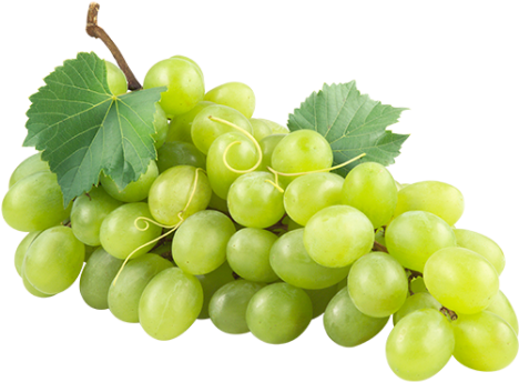 Products Used - Green Grapes Png (467x467), Png Download