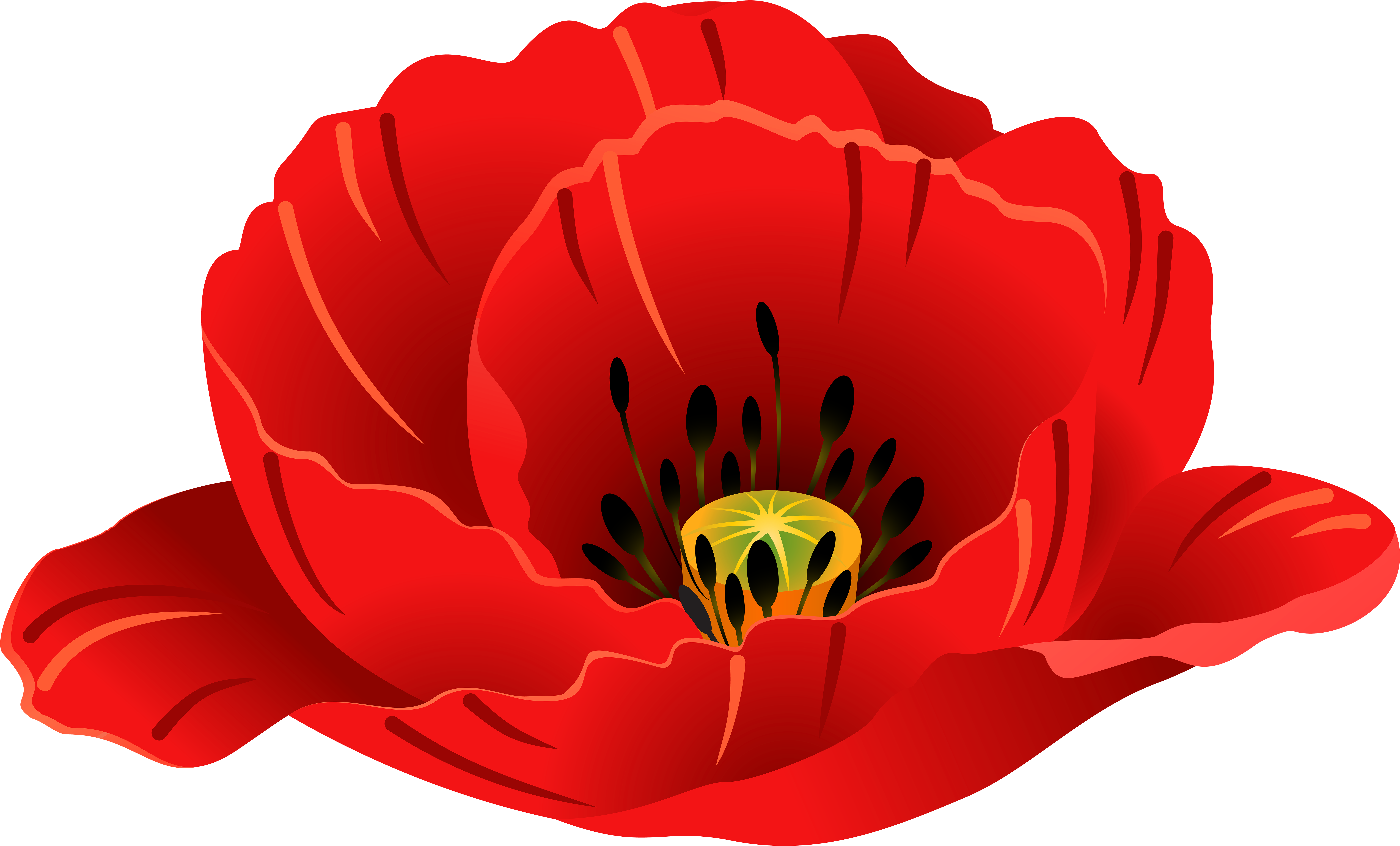 Patriotic Images, Art Images, Poppies, Clip Art, Art - Corn Poppy (600x365), Png Download