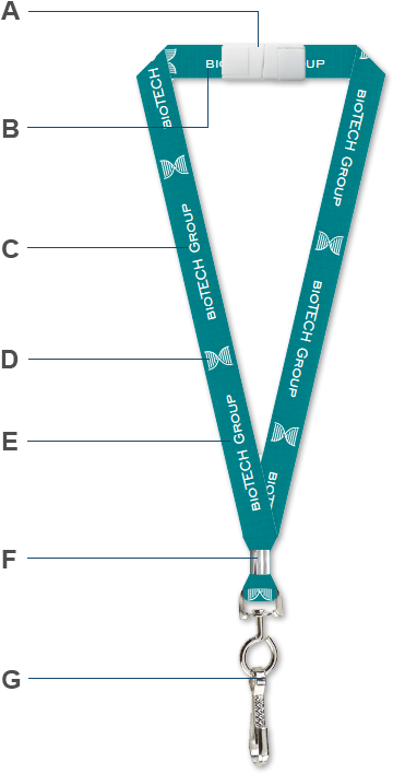 Anatomy Of A Custom Lanyard - Number (376x724), Png Download