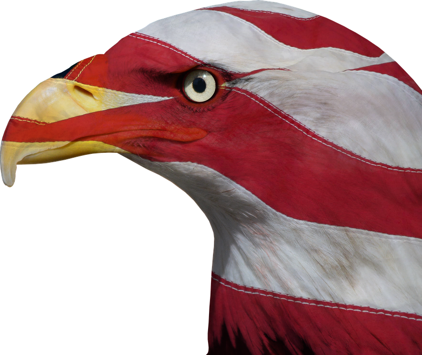 Usa, United States, Freedom, Bald Eagle, Patriotic - United States Of America (856x720), Png Download