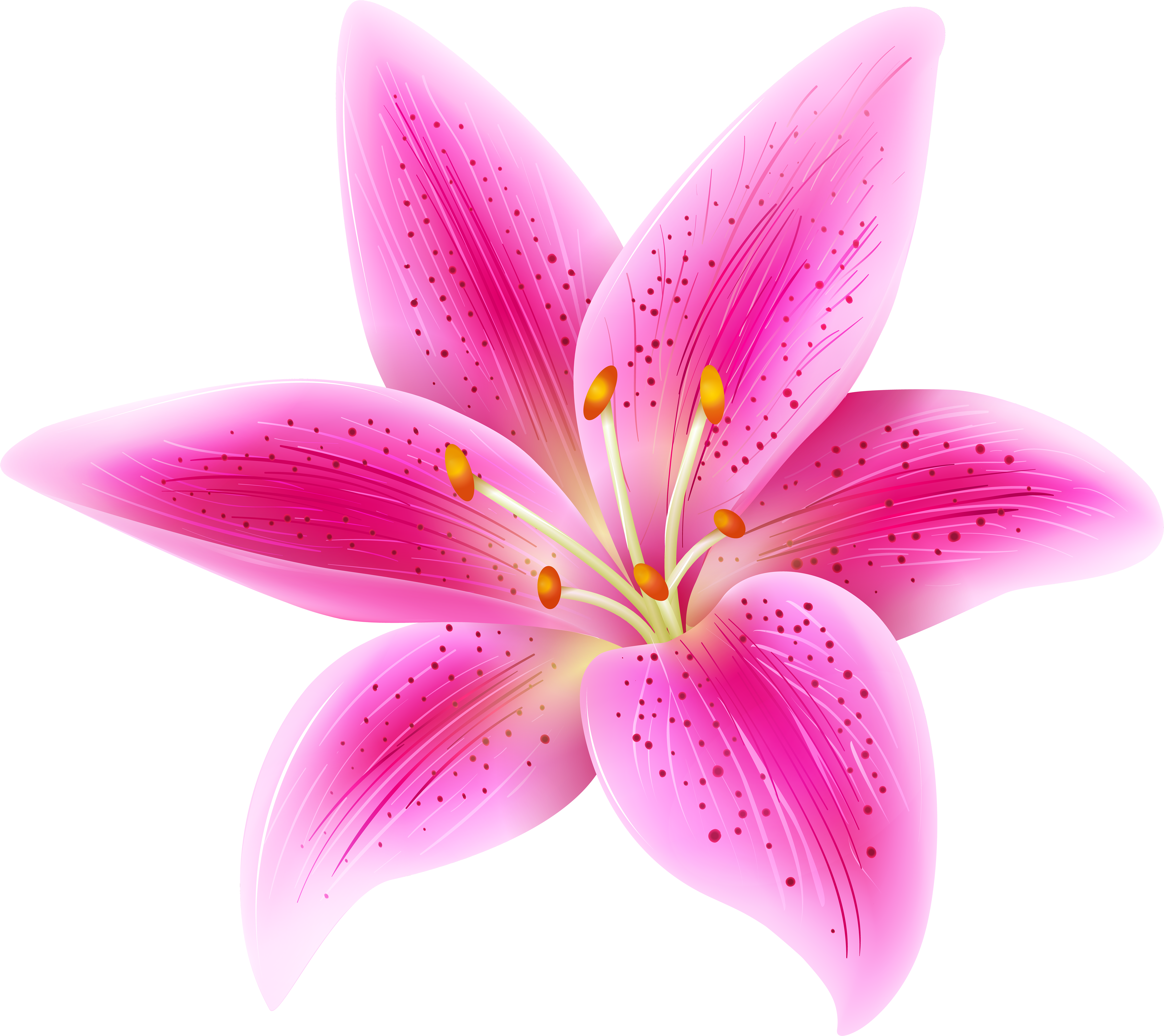 Pink Lily High Quality Png - Lily Flower Clipart (6000x5387), Png Download