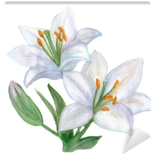 Beautiful White Lily - Lelie Getekend (400x400), Png Download