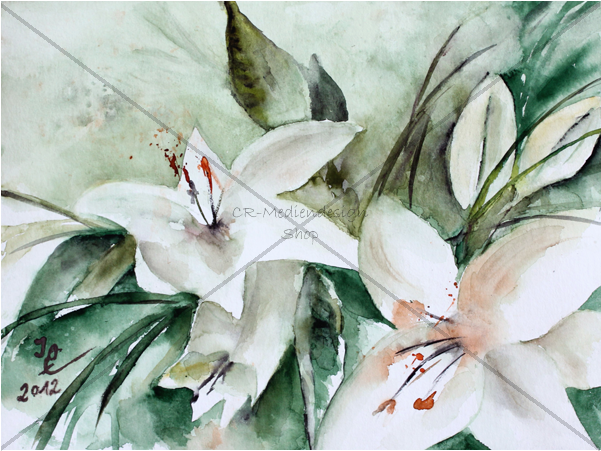 Postcard Ossenberg - Lily Family (600x600), Png Download