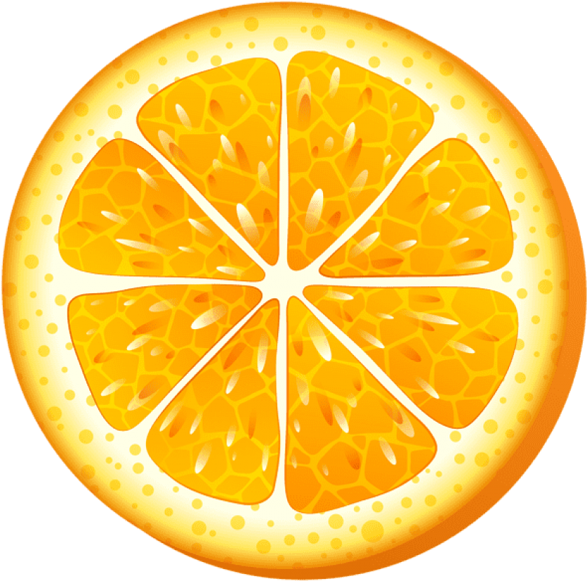 Orange Slices, Art Things, Clip Art, Illustrations - Orange Slice Clipart Transparent (600x593), Png Download