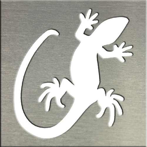 Lizard - House Gecko (500x500), Png Download