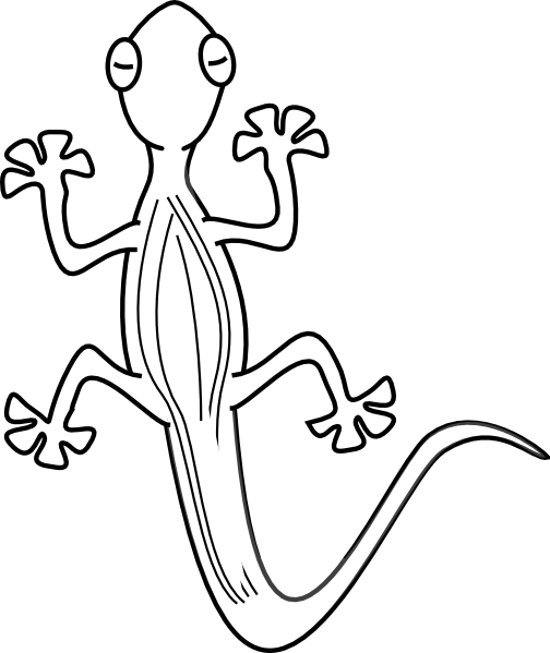 Best Clip Art Pinterest Geckos Outlines And - Gecko Clipart Black And White (504x599), Png Download