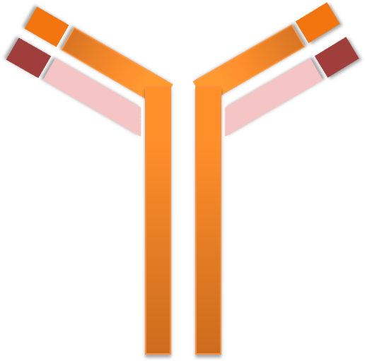 Banner Free Germ Clipart Antibody - Antibody Png (536x532), Png Download