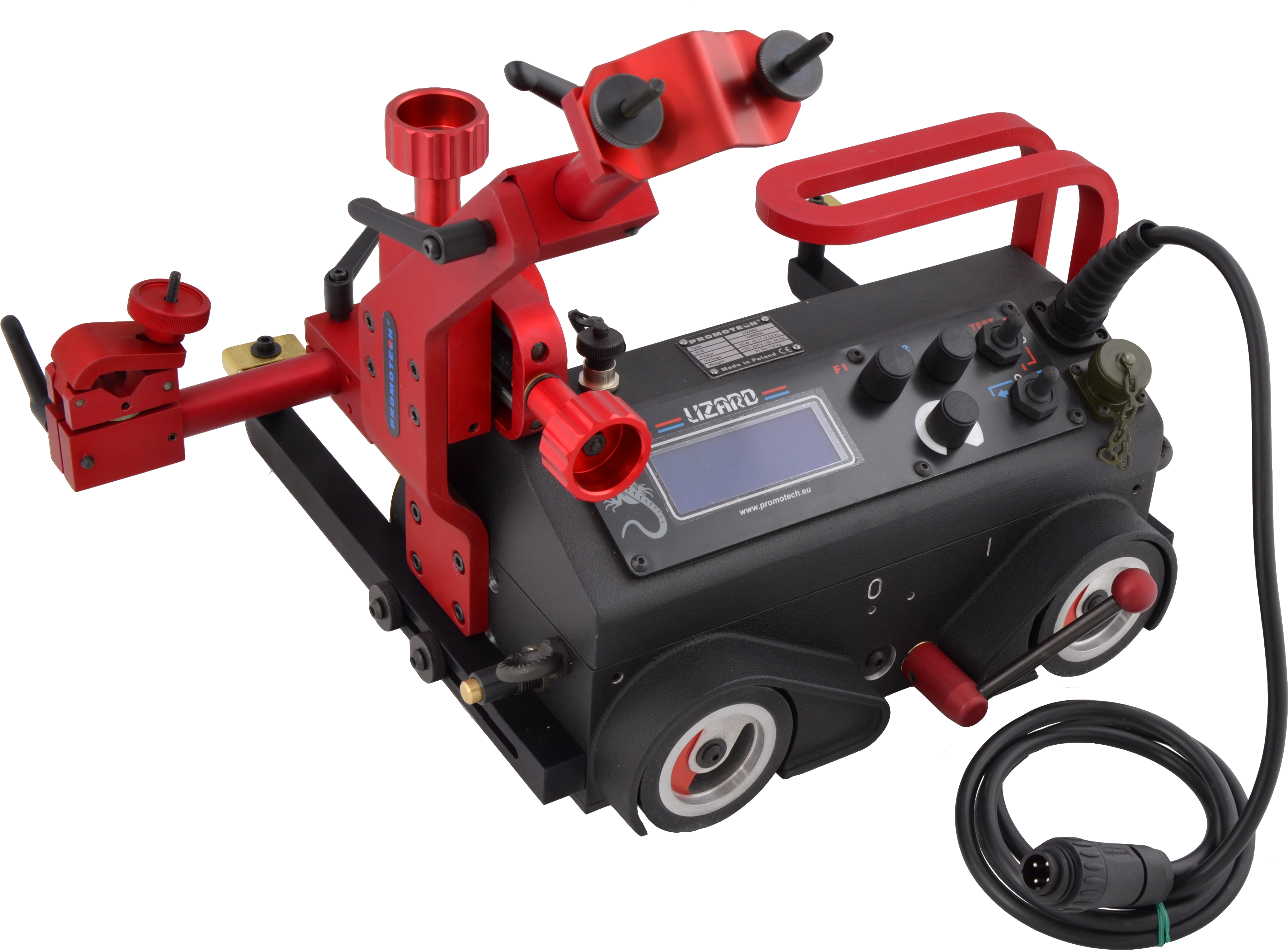 Lizard (4316x4316), Png Download