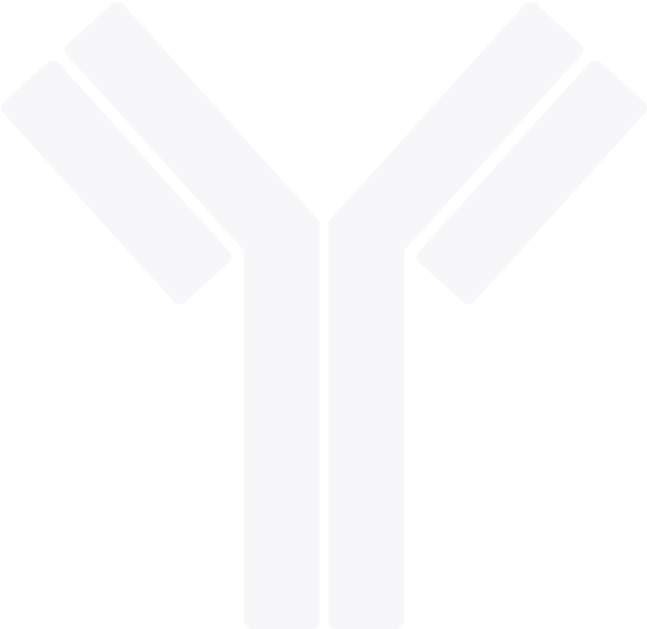 57 Am 8879 Dog 5/11/2017 - Antibody (800x600), Png Download