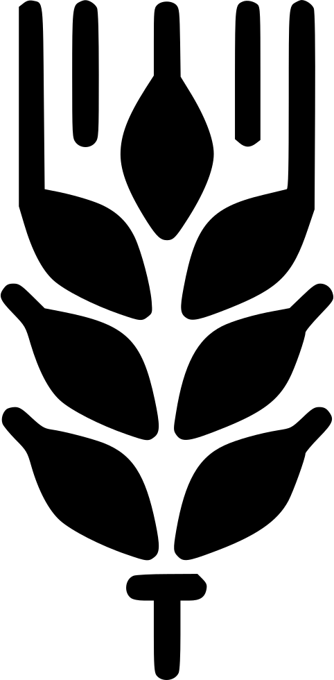 Png File - Food (482x980), Png Download