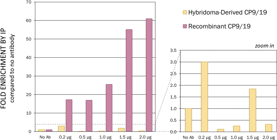 Recombinant Cp9/19 Showed Significantly Improved Performance - Diagram (1024x538), Png Download