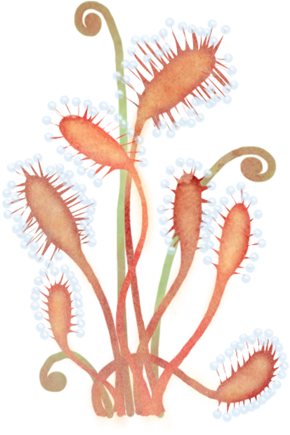 I Also Made Two Ivy Like Plants In Lighter Golden Ish - Embroidery (720x720), Png Download
