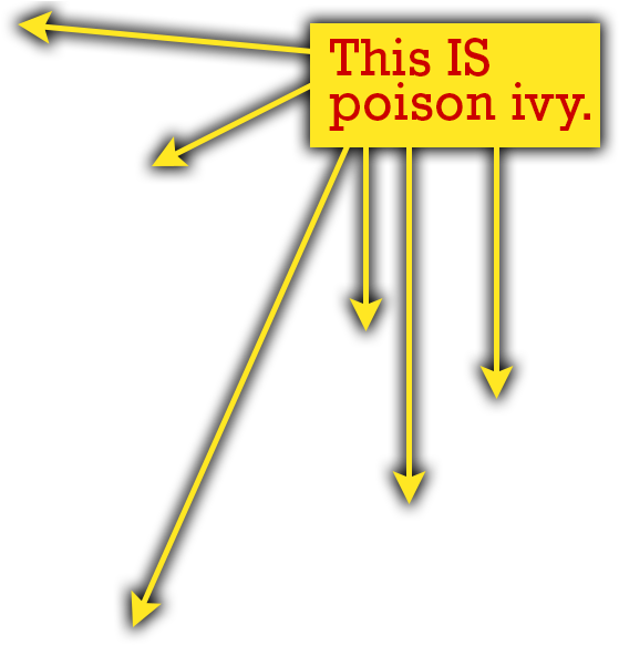 Note How The Poison Ivy Leaves Never Have That Square - Quiz (900x600), Png Download