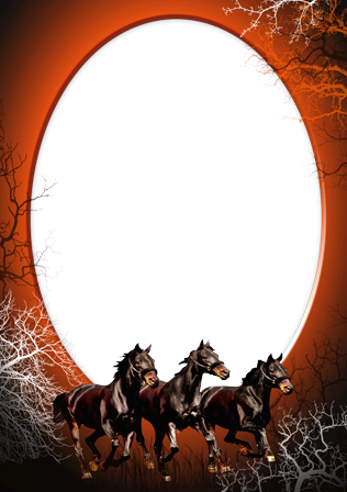 Caballos Para Usted - Marcos Para Fotos De Caballos (316x448), Png Download