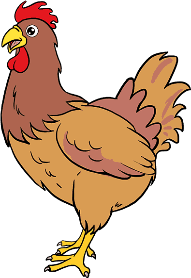 How To Draw Chicken - Brahma Chicken In Clipart (678x600), Png Download