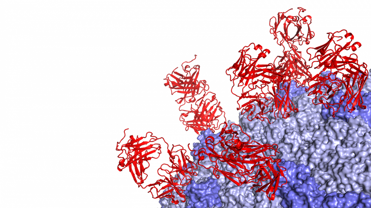 A Human Bi-specific Antibody Against Zika Virus With - Graphic Design (1500x843), Png Download