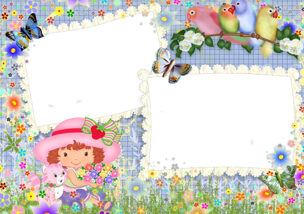 620 Best Bordes Images On Pinterest - Picture Frame (1040x732), Png Download