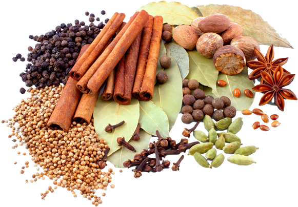 Download Spice - Herb - Spices And Herbs Png PNG Image with No Background -  